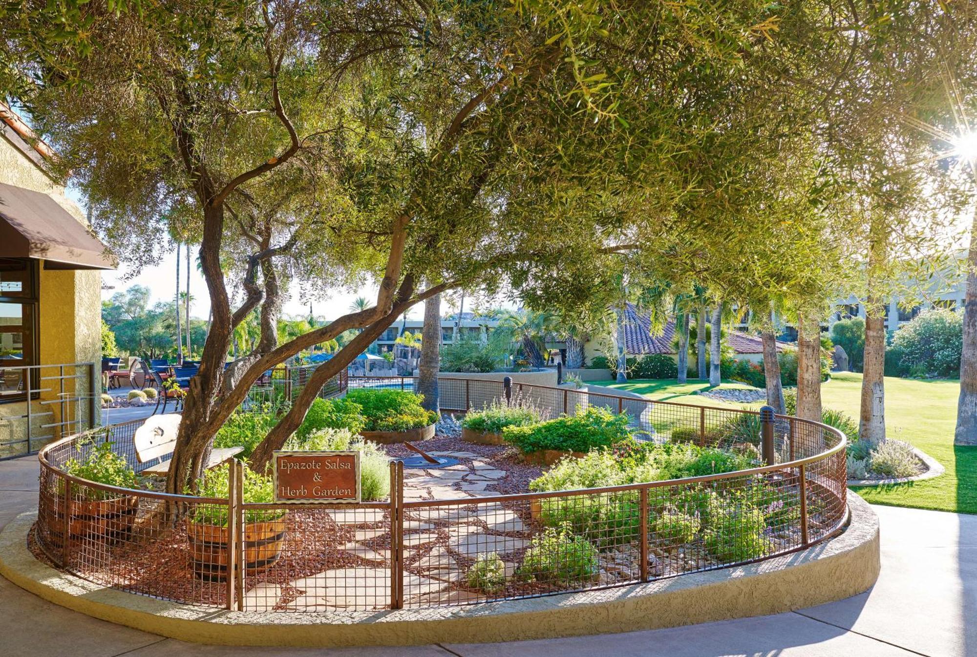 El Conquistador Tucson, A Hilton Resort Oro Valley Exterior foto